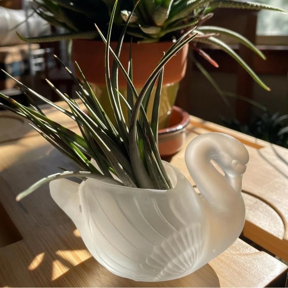 Small glass swan trinket box, frosted, vintage, 3x4 inches